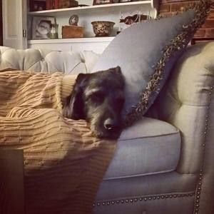 Meet your Posher, Lori